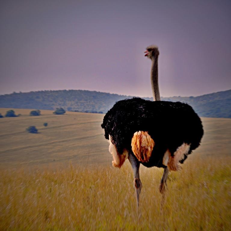 Kirkwood Umlambo River Lodge المظهر الخارجي الصورة