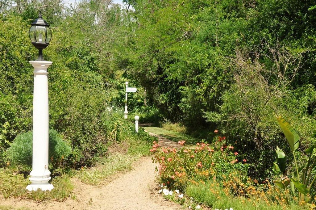 Kirkwood Umlambo River Lodge المظهر الخارجي الصورة